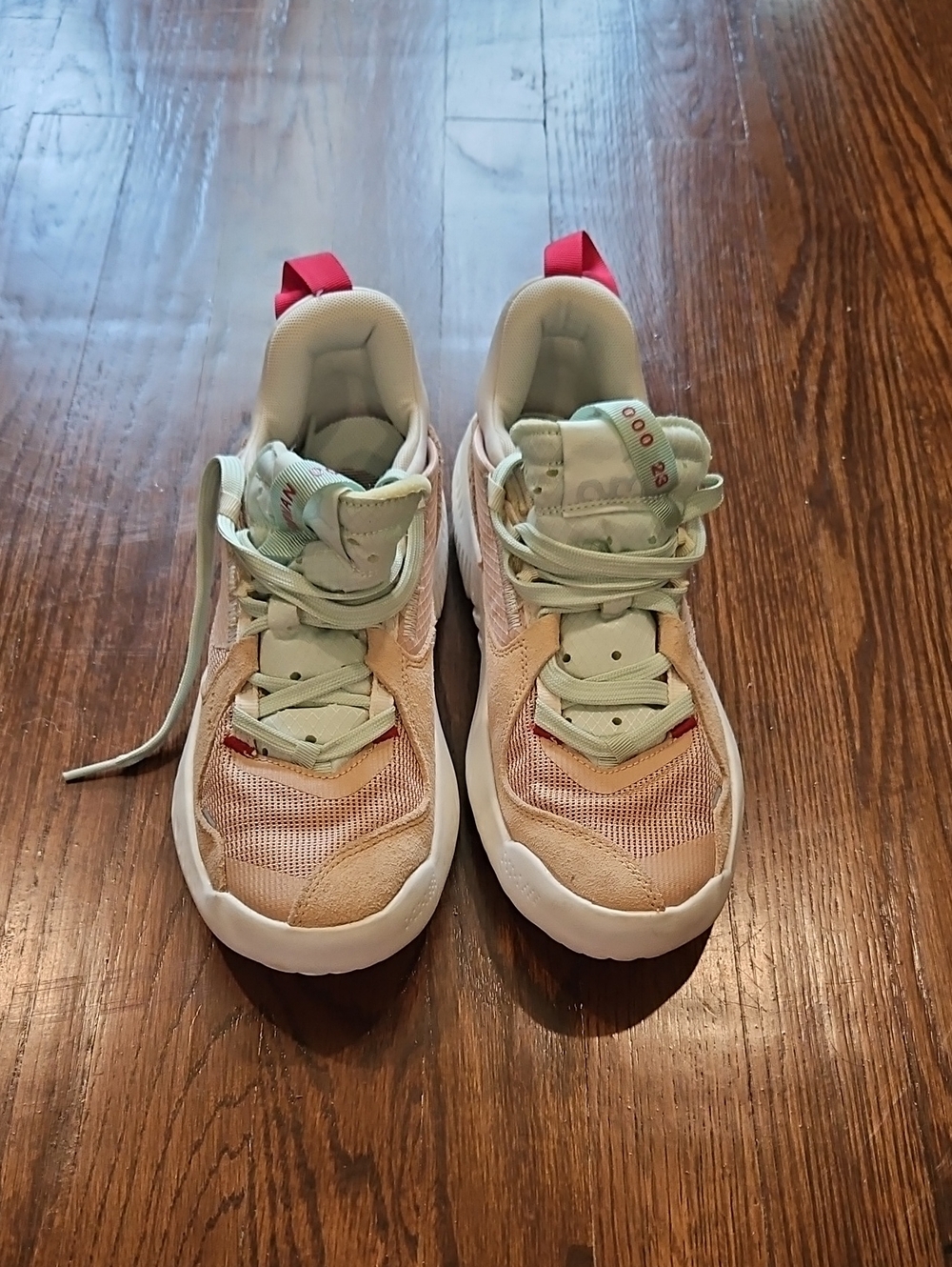 Jumpman Sneakers in Pastel Pink and Mint